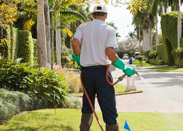 About Grand Rapids MN Pest Control